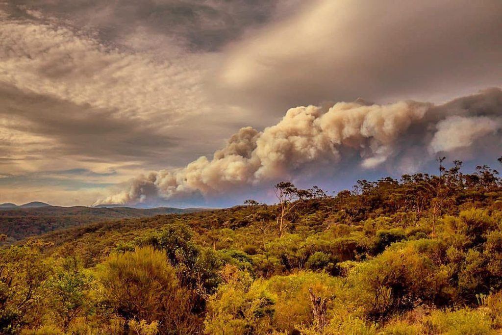 Australian bushfires: Earth’s ‘fever’ rises!