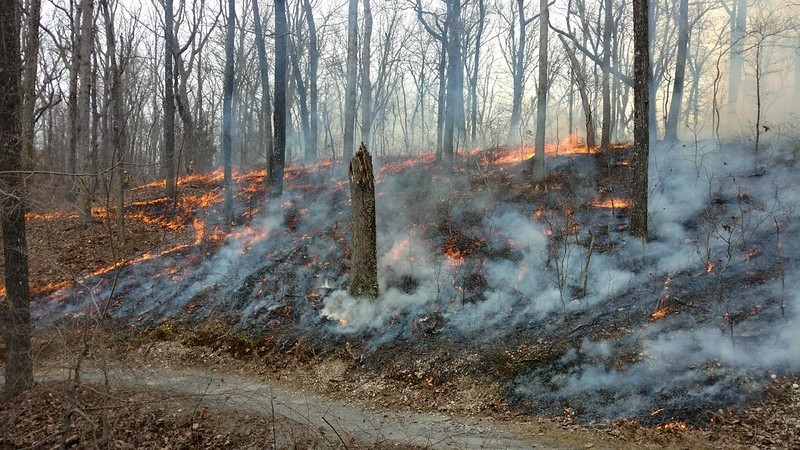 Orman yangınları, seller, 2022’de de kapımızda