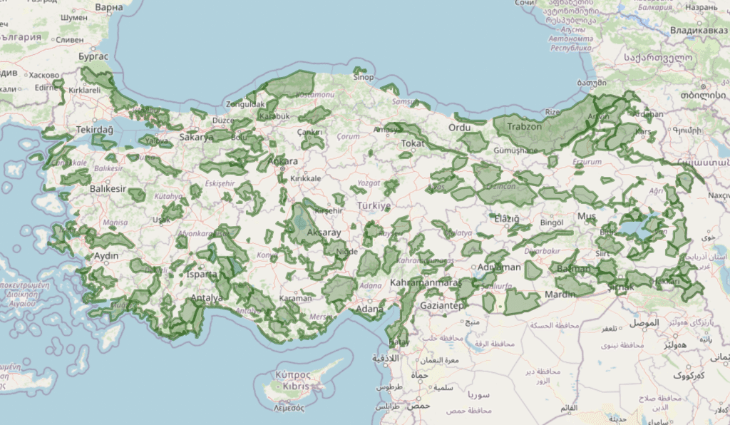 Turkey’s strictly protected areas under threat after olive groves