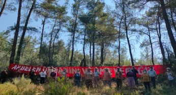 Hassas Alan Düzenlemesi Çevreci mi, İşletmeci mi?