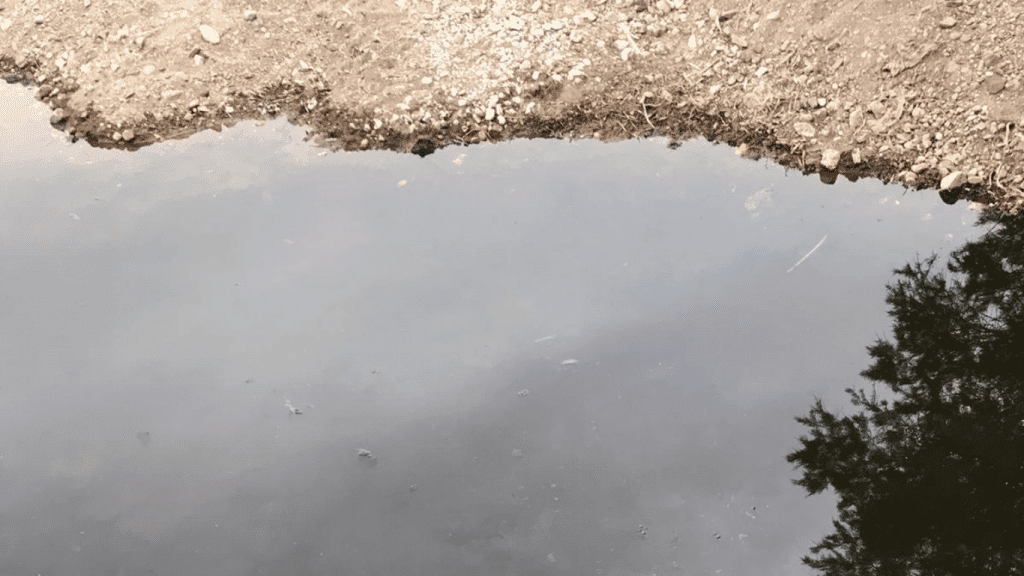 Bodrum’da derelere kaçak atık su boşaltılıyor