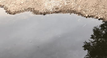 Bodrum’da derelere kaçak atık su boşaltılıyor