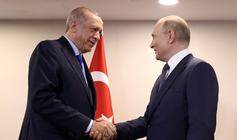 Putin took a hold of Akkuyu NPP before Erdoğan’s visit