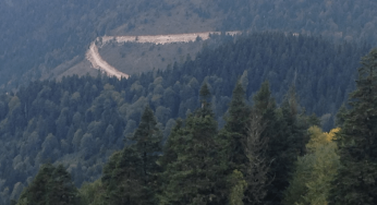 Yeşil Yol Projesinin iptal kararı kaldırıldı: TEMA Vakfı uyardı