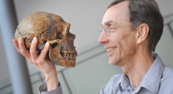 İnsanın Evrimsel Hikayesi Nobel Ödülü’ne Layık Görüldü