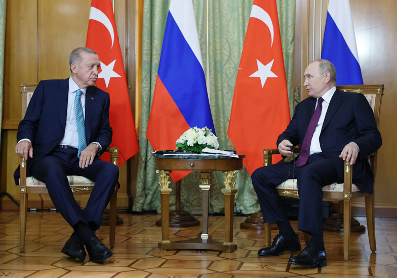 Erdoğan 12 Şubat’ta Putin’le görüşüp, Sevgililer Günü’nde Mısır’a gidecek