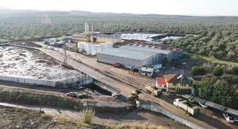 Ayvalık’ta çevre zaferi: Pirina fabrikasının lisansı iptal edildi