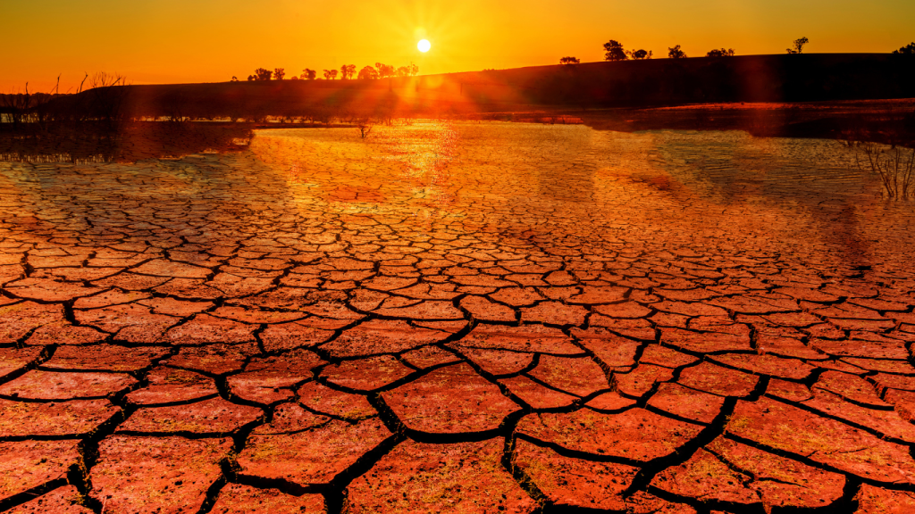 Tüm tarihin en sıcak günü: Biyoçeşitlilik azalıyor