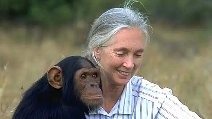 Jane Goodall: Umudun İzinde Bir Yaşam Öyküsü