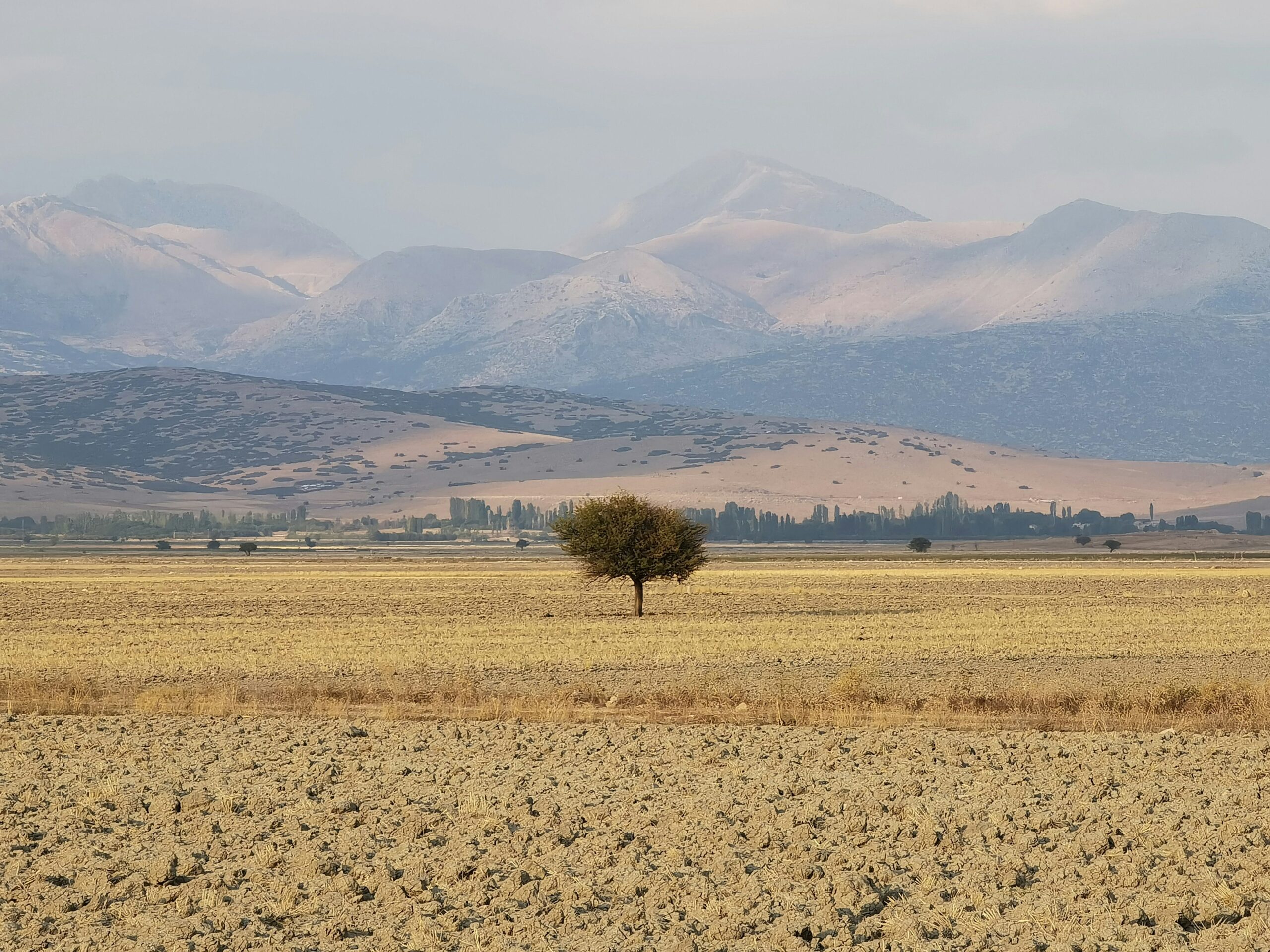 maxim-berg-KfpW3S0GGKk-unsplash